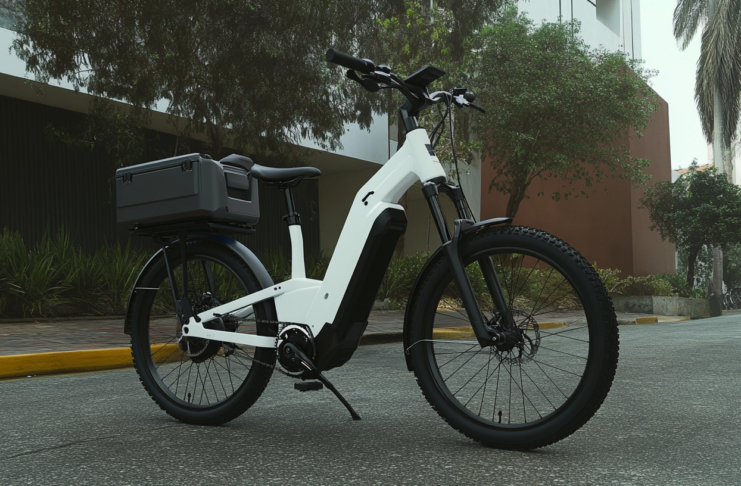 e-bike Adaptive Seating and Cargo Options