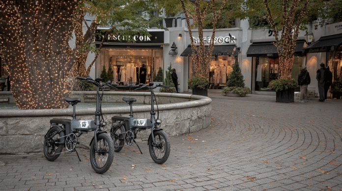 Electric Folding Bikes for Elderly Riders